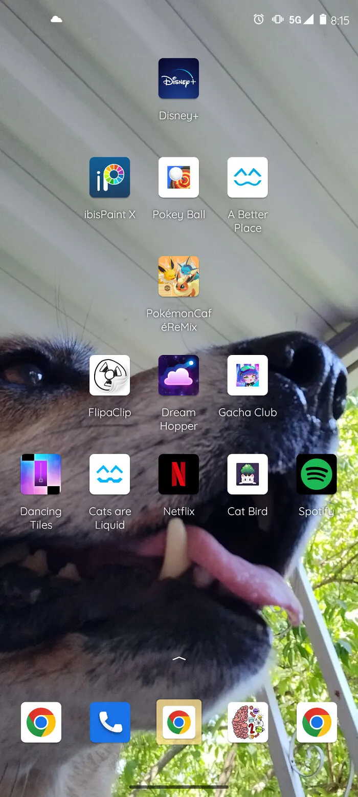 My Doggo