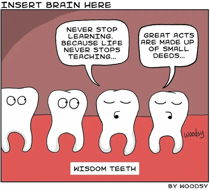 Absurd Situations And Silly Humor: 40 Comics By Paul Woods