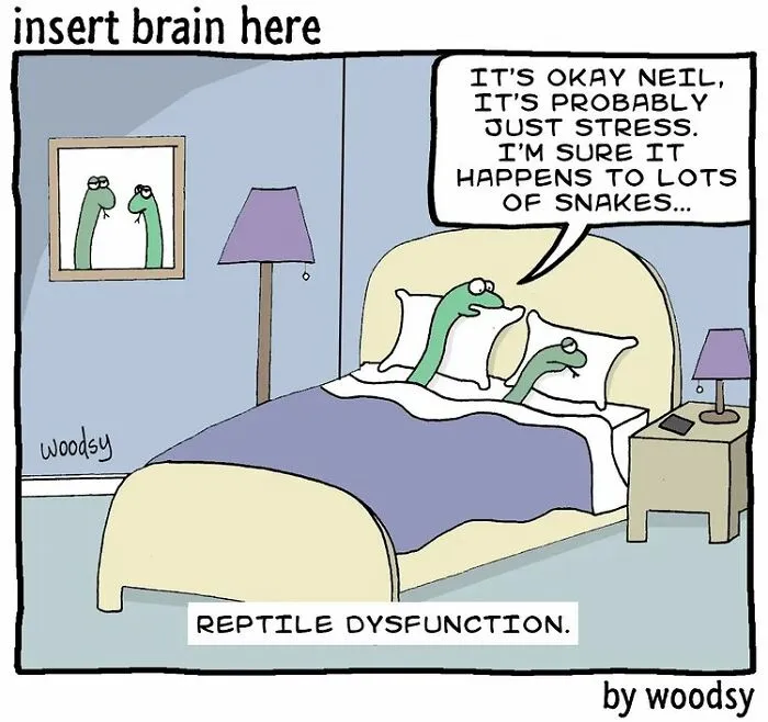 Absurd Situations And Silly Humor: 40 Comics By Paul Woods
