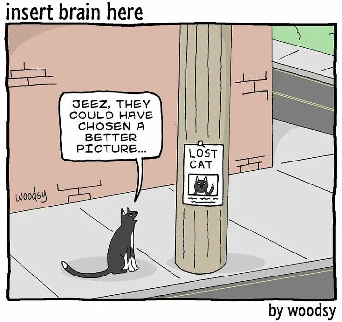 Absurd Situations And Silly Humor: 40 Comics By Paul Woods