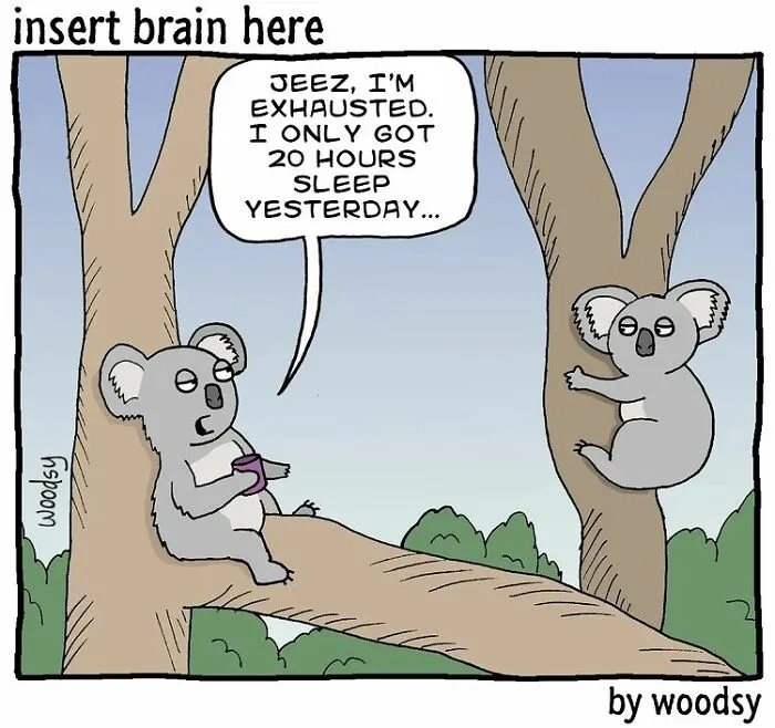 Absurd Situations And Silly Humor: 40 Comics By Paul Woods
