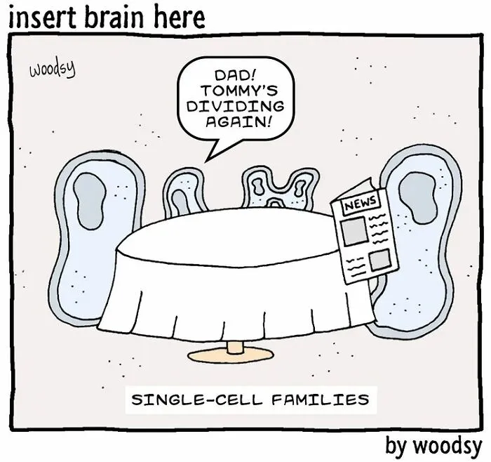 Absurd Situations And Silly Humor: 40 Comics By Paul Woods