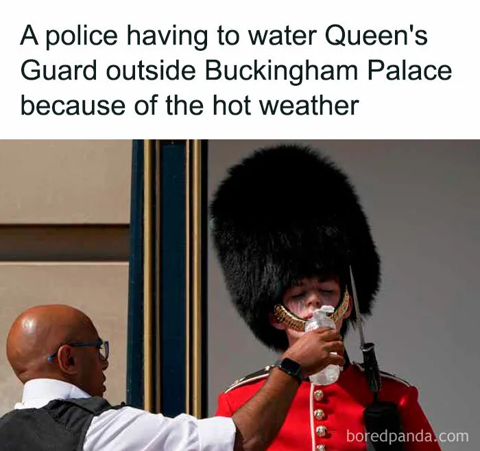 Brits Are Sharing How They Are Dealing With This Record-Breaking Heatwave (40 Posts)