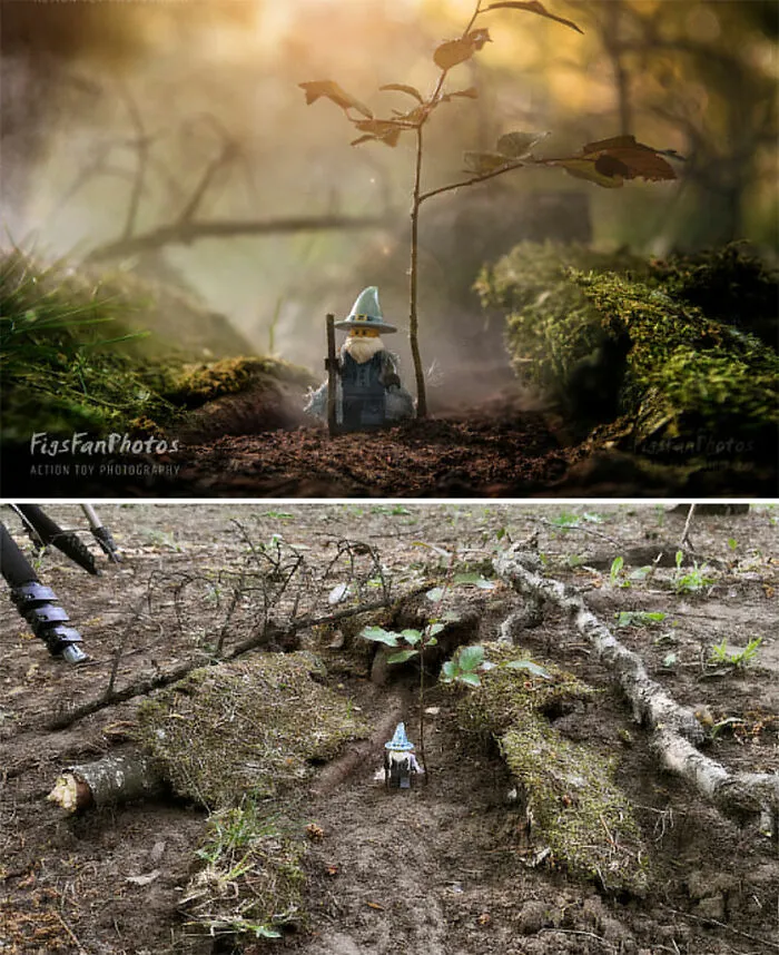 Typical Outdoor Scenery. This Little Tree Was Actually Growing There. I Just Built The Others Around It