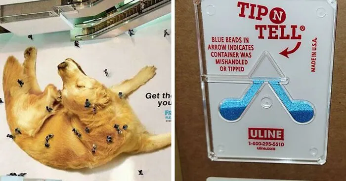 The Opposite Of Design Fails: 50 Of The Most Brilliant Design Ideas That People Have Ever Shared In This Online Group (New Pics)