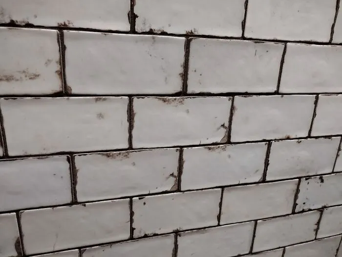 Elección. Nunca me sentiría como si esto estuviera limpio, parece como si hubieran usado m*erda para adherir los azulejos a la pared...