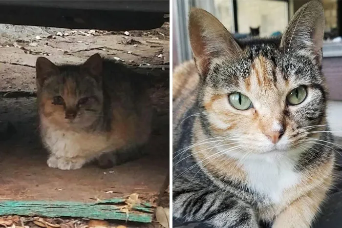 Zoe