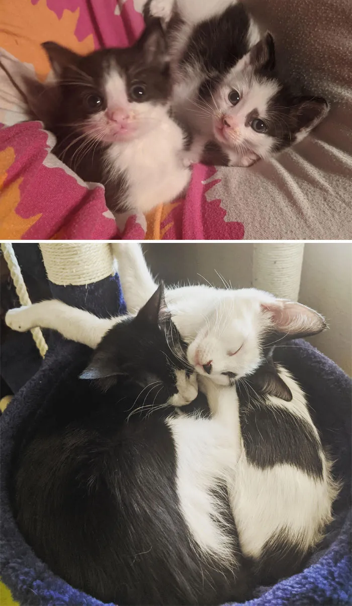 My Dumpster Duo… Someone Else’s Trash Is Definitely My Treasure!!