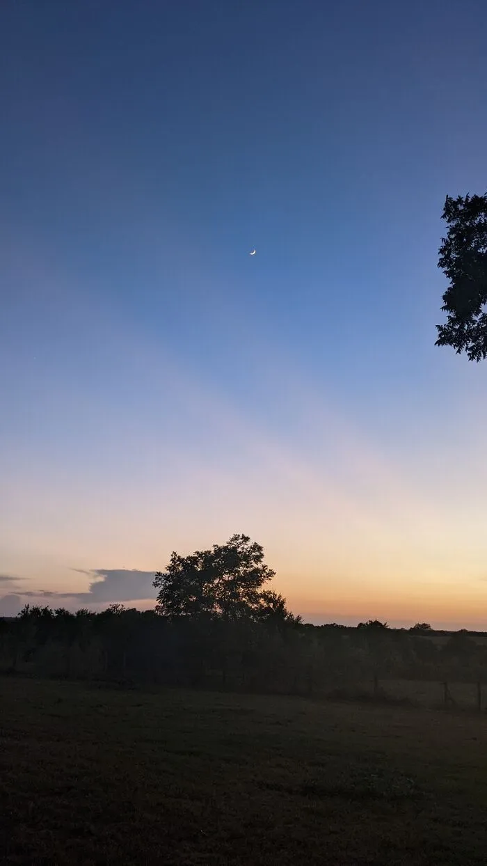 The Moon Always Looks  Smaller In Photos Twt