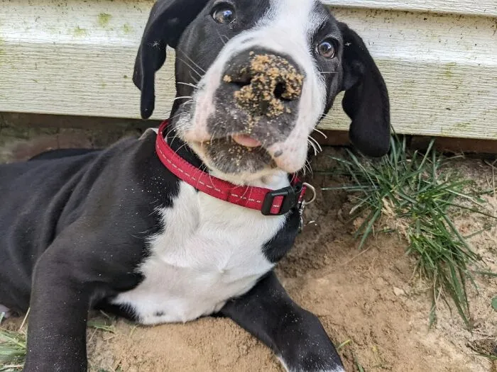 My Silly Boy. He Has Brought Me So Much Joy.