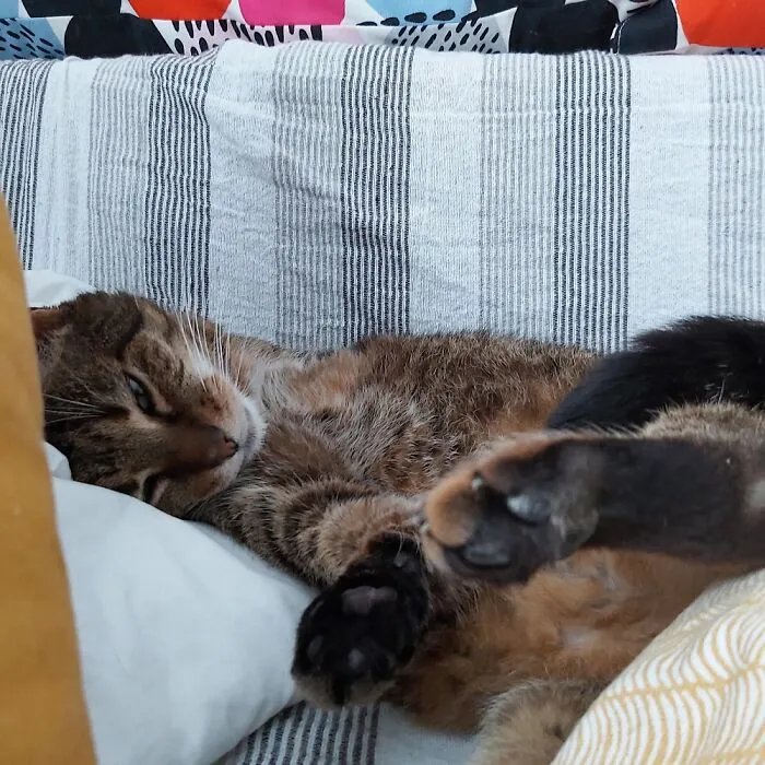 Miss Her Every Day