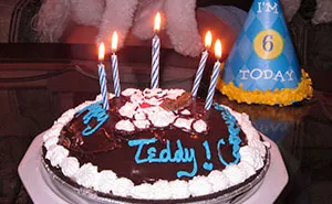 Woman Asks Folks Online If She’s A Jerk For Taking The Cake She Baked For Her Fiance And Leaving His B-Day Party After His Mom Stole Her Thunder