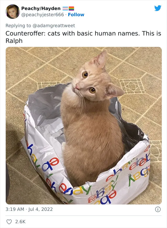40 Of The Most Bonkers Pet Names, As Shared By Their Owners In This Now-Viral Twitter Thread