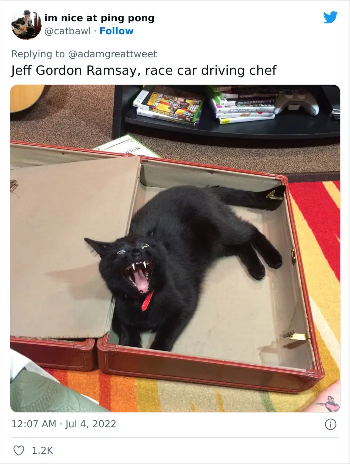 40 Of The Most Bonkers Pet Names, As Shared By Their Owners In This Now-Viral Twitter Thread