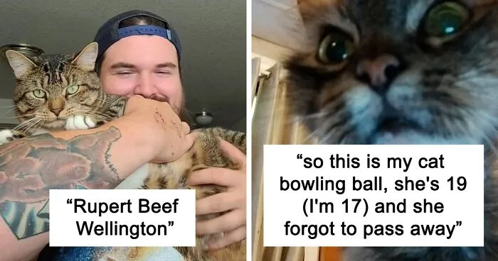 40 Of The Most Bonkers Pet Names, As Shared By Their Owners In This Now-Viral Twitter Thread