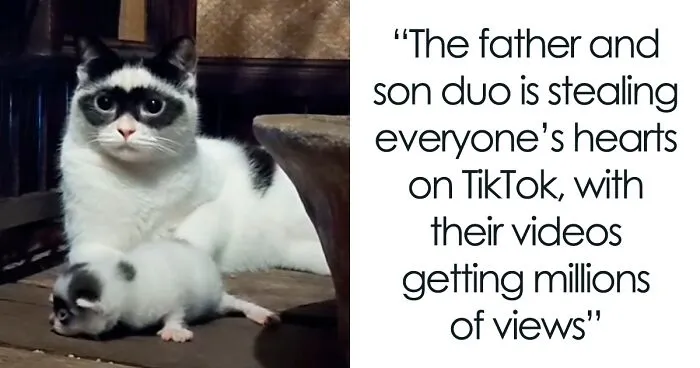 This Cat Became Popular On The Internet For Looking Like Zorro, Gets A Kitten Named Bandit That Looks Exactly Like Him
