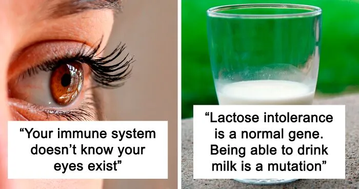 40 Cool But Pretty Disturbing Facts About The Human Body That Not Many People Know About