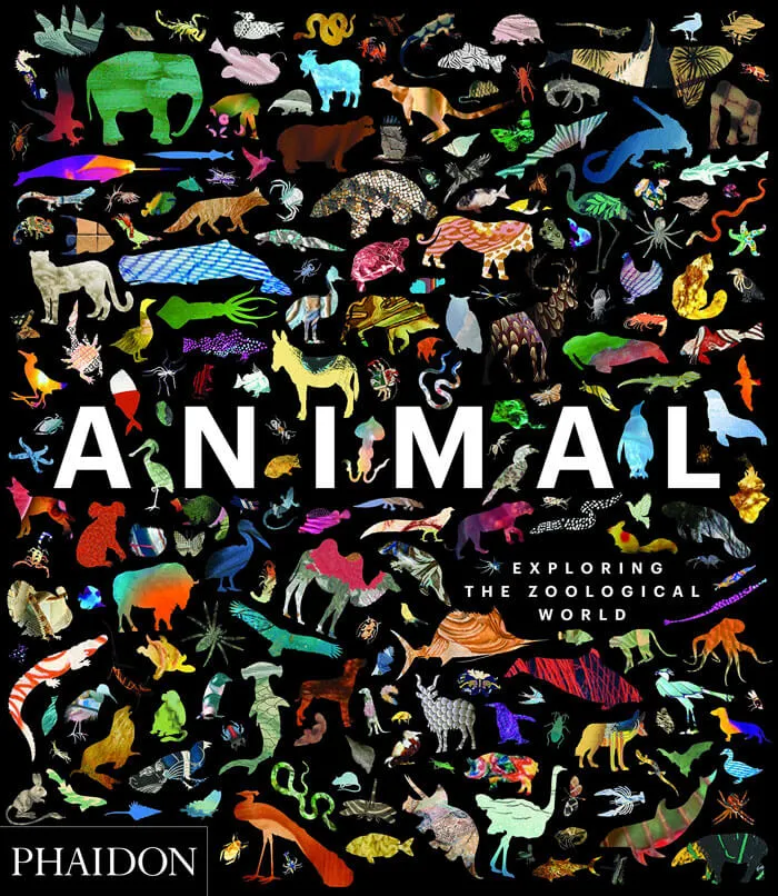 Book cover for "Animal: Exploring The Zoological World" 