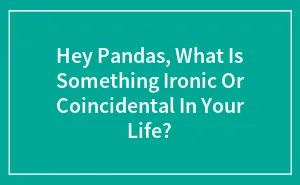 Hey Pandas, What Is Something Ironic Or Coincidental In Your Life? (Closed)