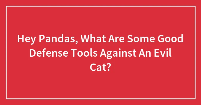 Hey Pandas, What Are Some Good Defense Tools Against An Evil Cat? (Closed)