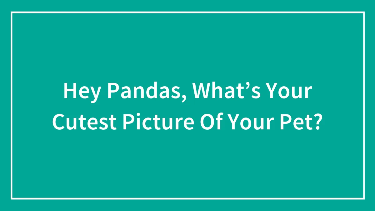 Hey Pandas, What’s Your Cutest Picture Of Your Pet?