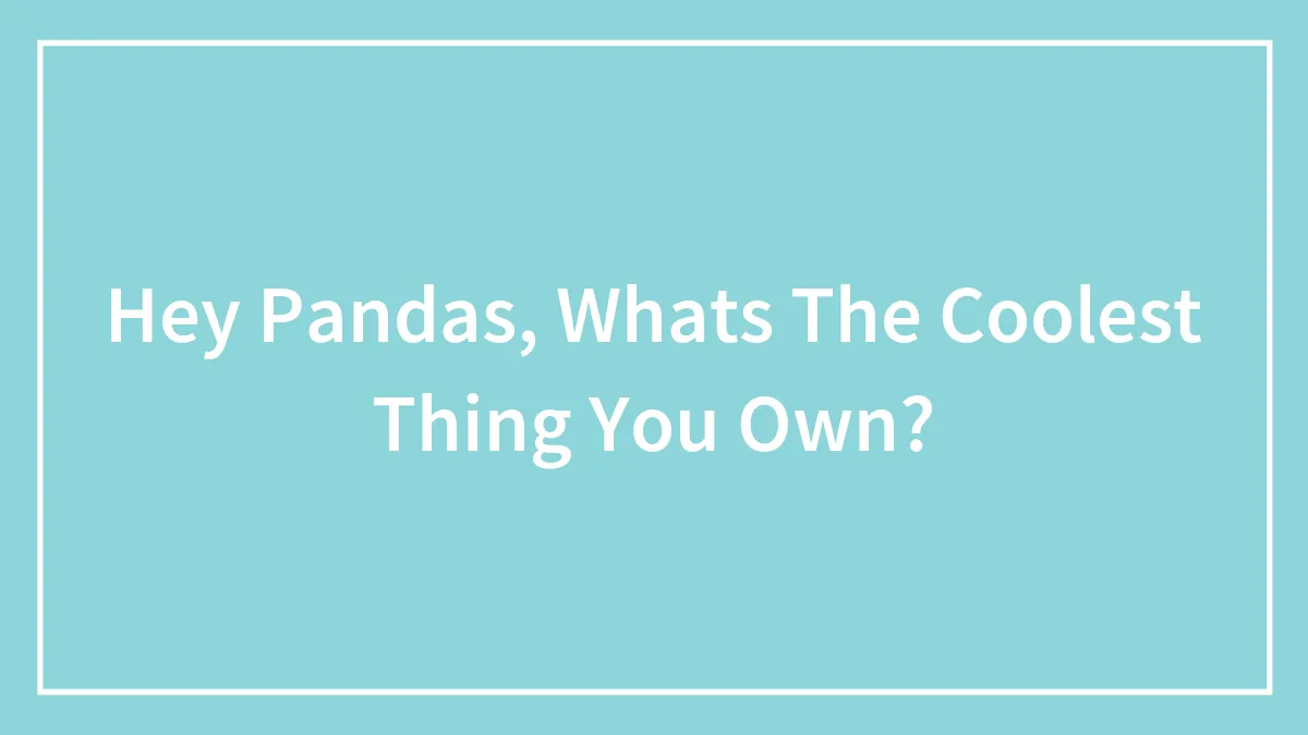 Hey Pandas, Whats The Coolest Thing You Own?