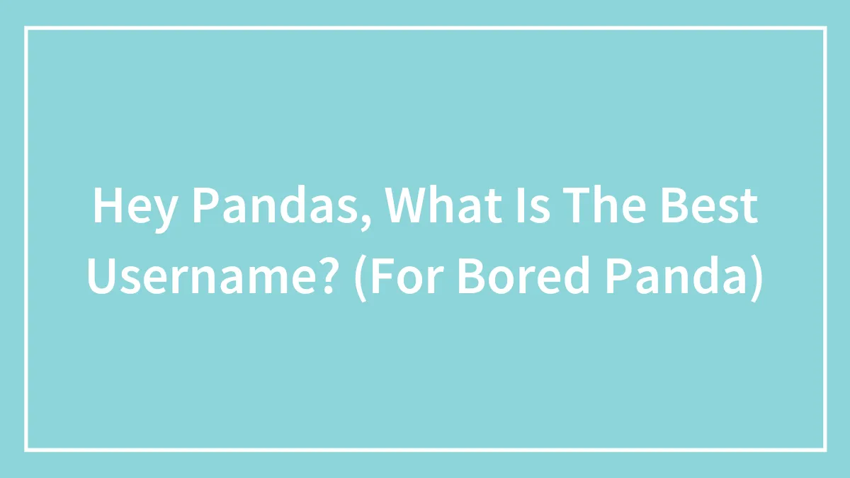 Hey Pandas, What Is The Best Username? (For Bored Panda)