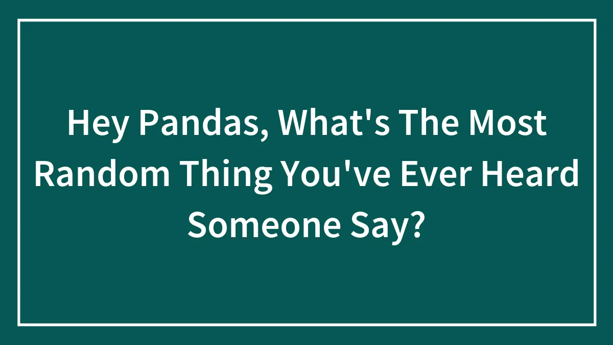 Hey Pandas, What's The Most Random Thing You've Ever Heard Someone Say?