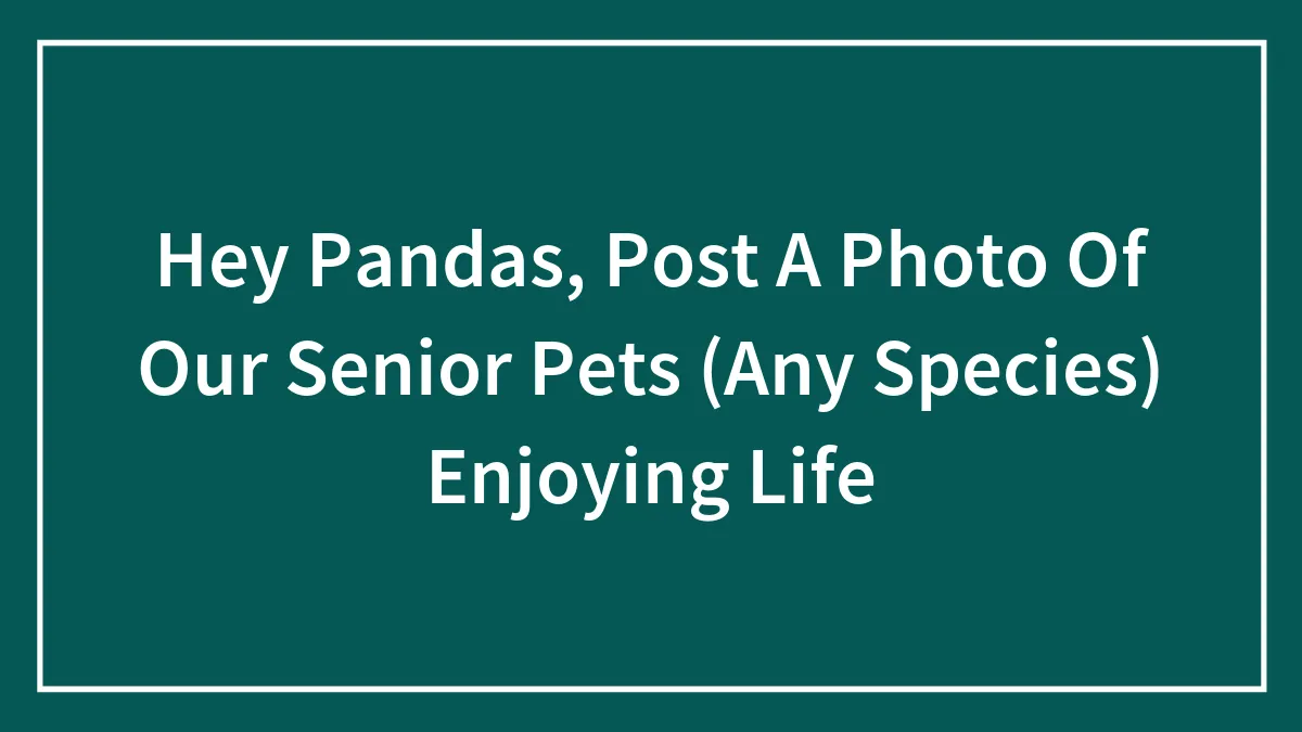 Hey Pandas, Post A Photo Of Our Senior Pets (Any Species) Enjoying Life