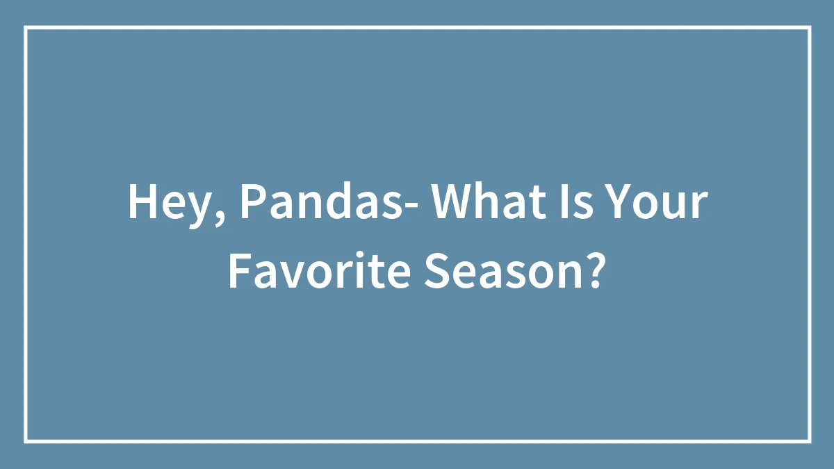 Hey, Pandas- What Is Your Favorite Season?