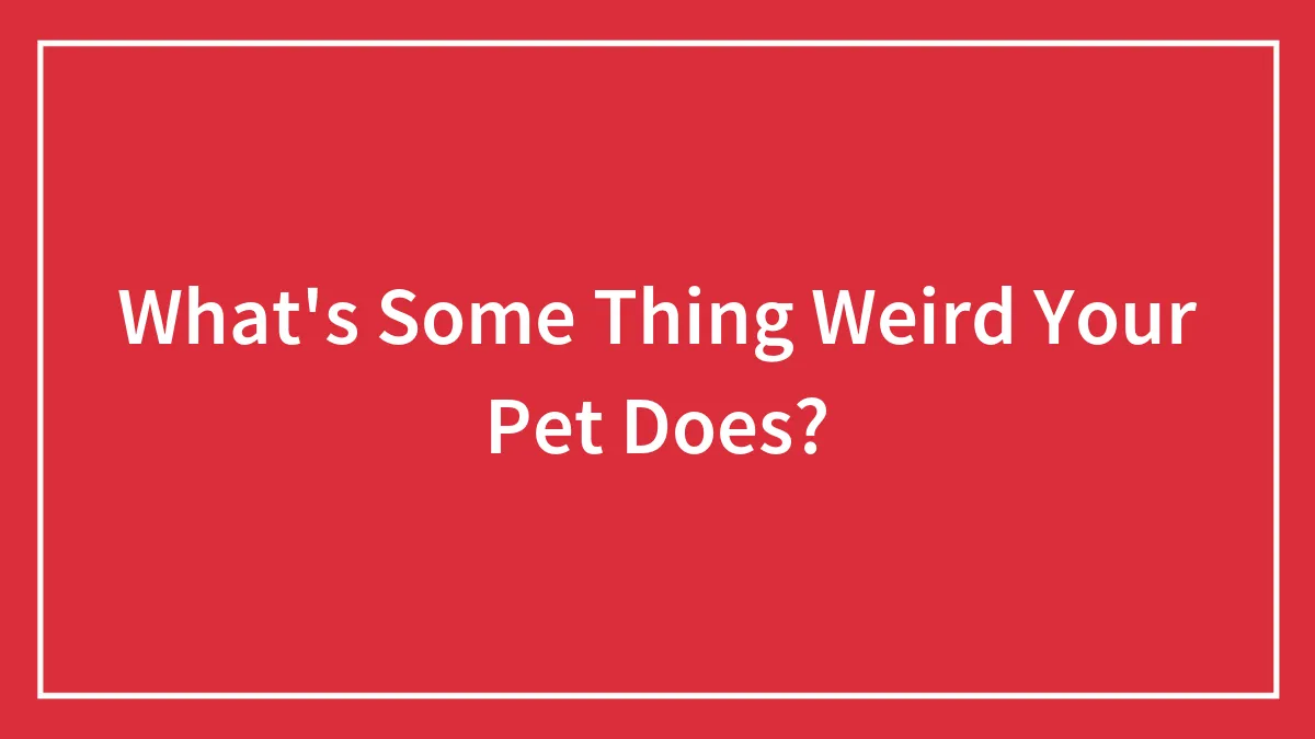 What's Some Thing Weird Your Pet Does?
