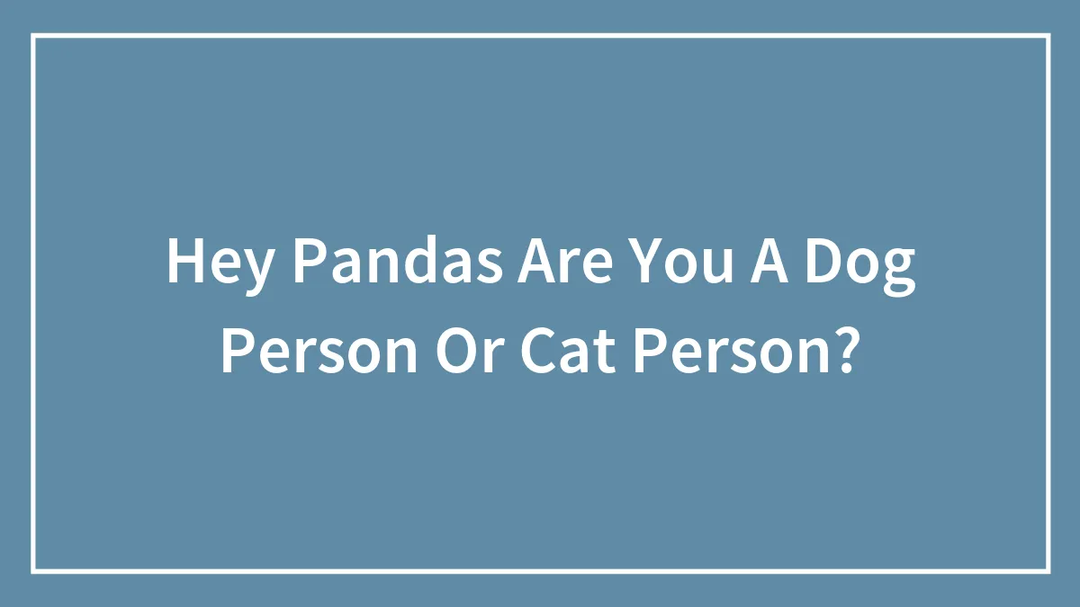 Hey Pandas Are You A Dog Person Or Cat Person?