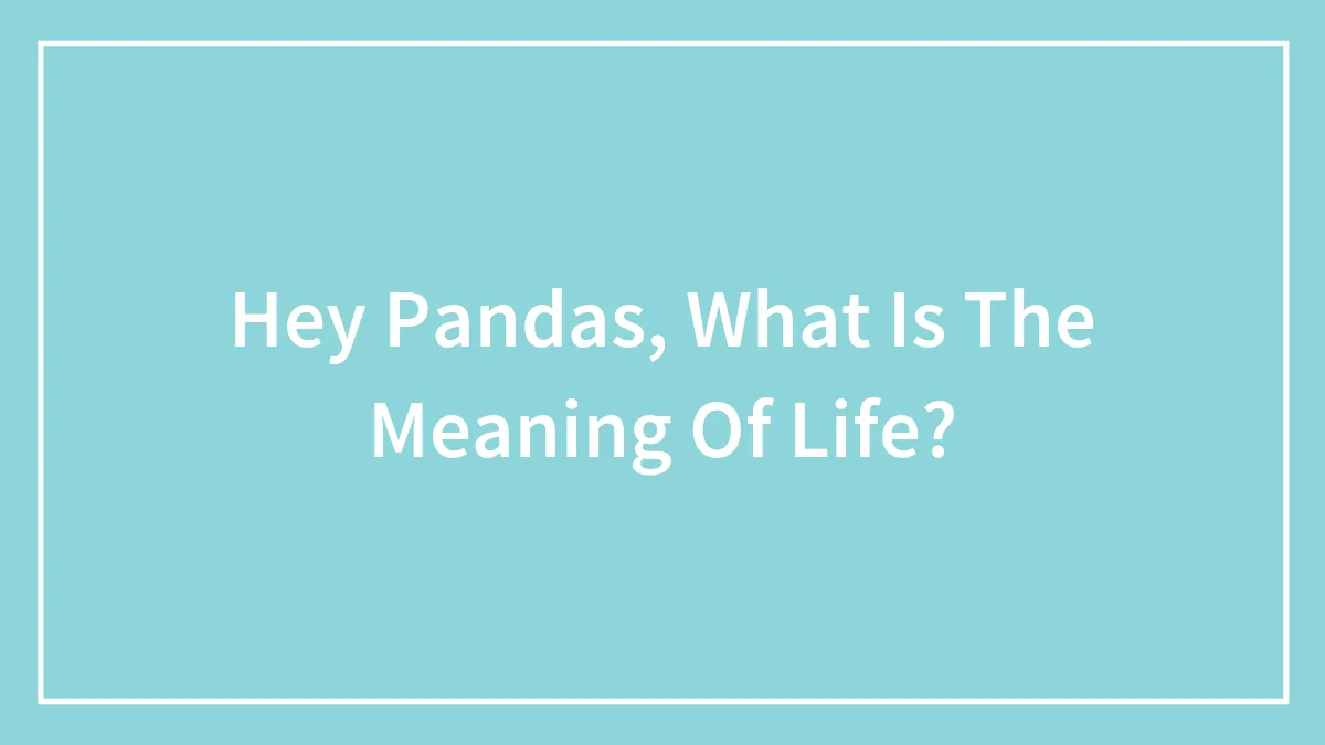 Hey Pandas, What Is The Meaning Of Life?