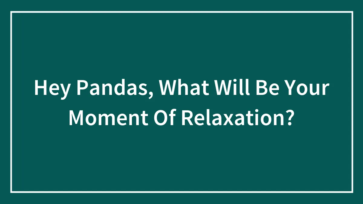 Hey Pandas, What Will Be Your Moment Of Relaxation?