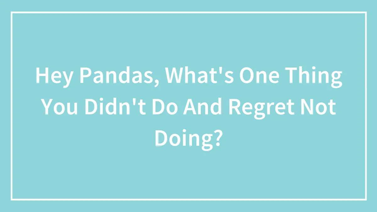 Hey Pandas, What's One Thing You Didn't Do And Regret Not Doing?
