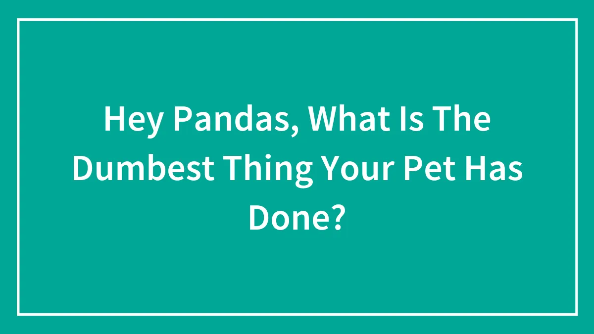 Hey Pandas, What Is The Dumbest Thing Your Pet Has Done? (Closed)