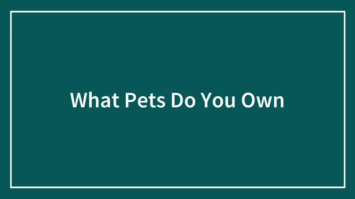 What Pets Do You Own