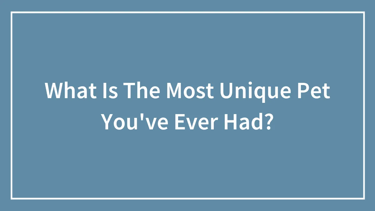 What Is The Most Unique Pet You've Ever Had?