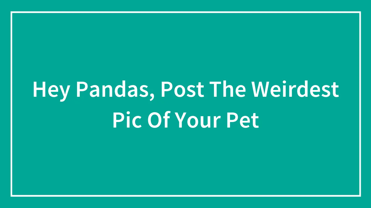 Hey Pandas, Post The Weirdest Pic Of Your Pet (Closed)