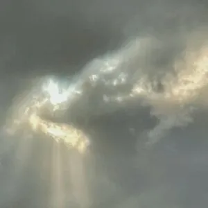 ヾ(⌐■_■)ノ