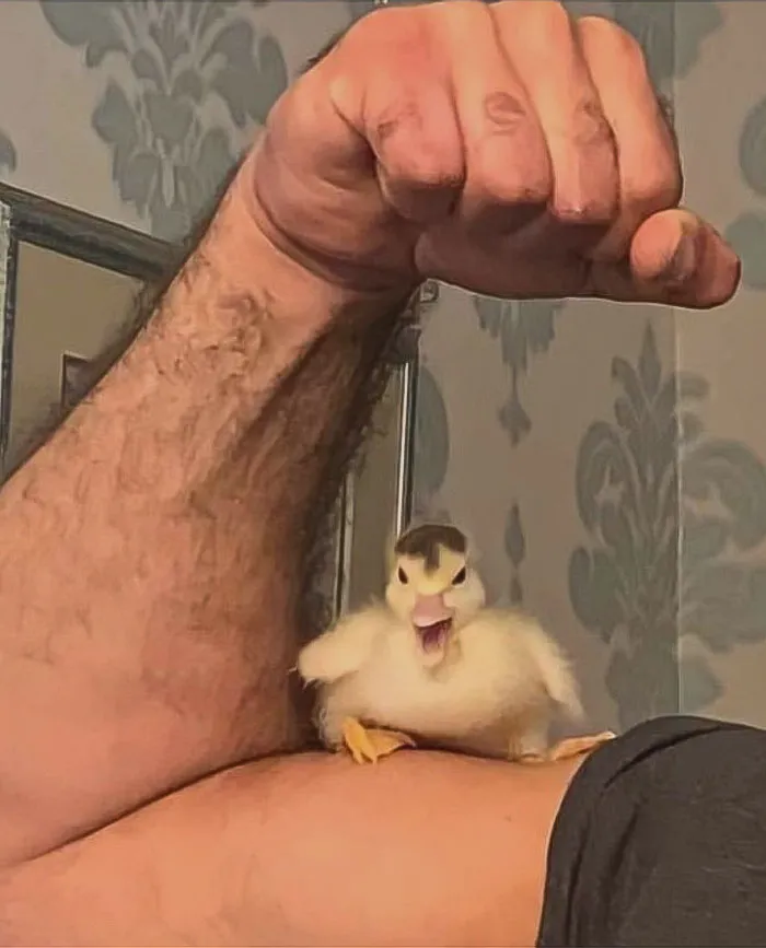 Workout Buddy