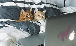 30 Hilariously Goofy Animals To Brighten Up Your Day (New Pics)