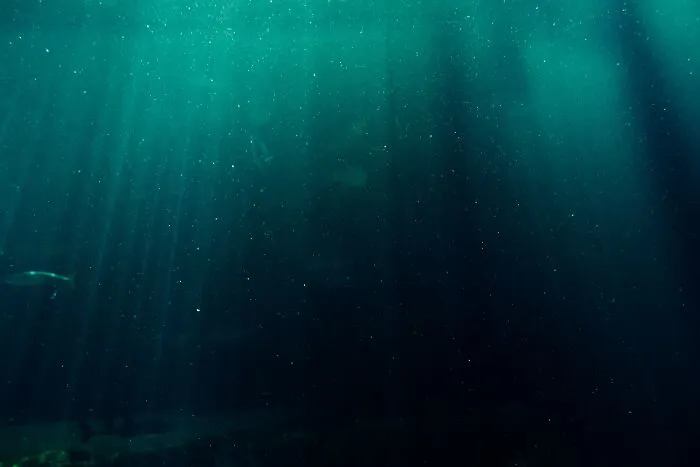 Dark ocean water with faint light rays penetrating deep, illustrating some of the creepiest facts about the ocean depths.
