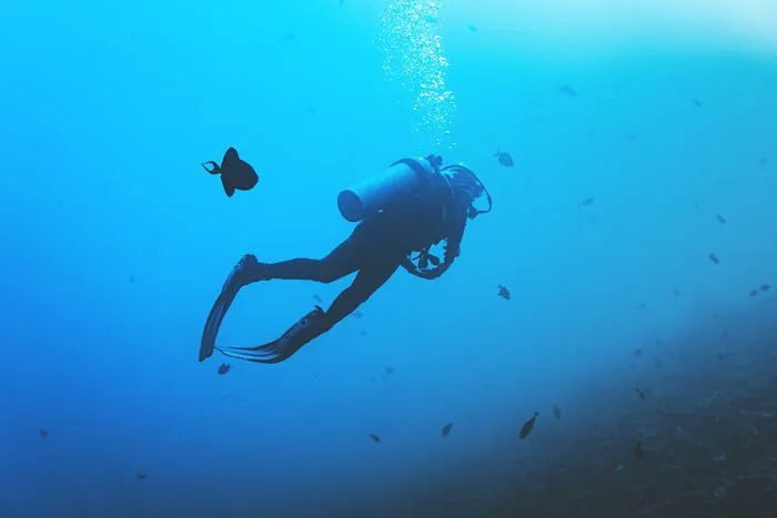 Silent Depths Ahead