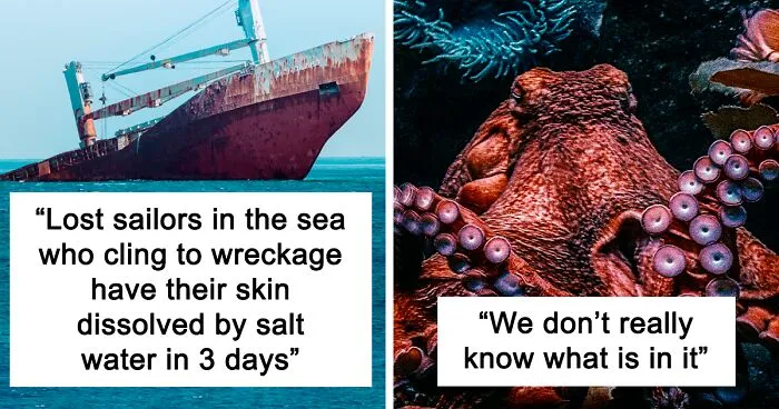 30 Of The Creepiest Facts About The Ocean You Might Wish You Never Knew, As Shared In This Online Thread