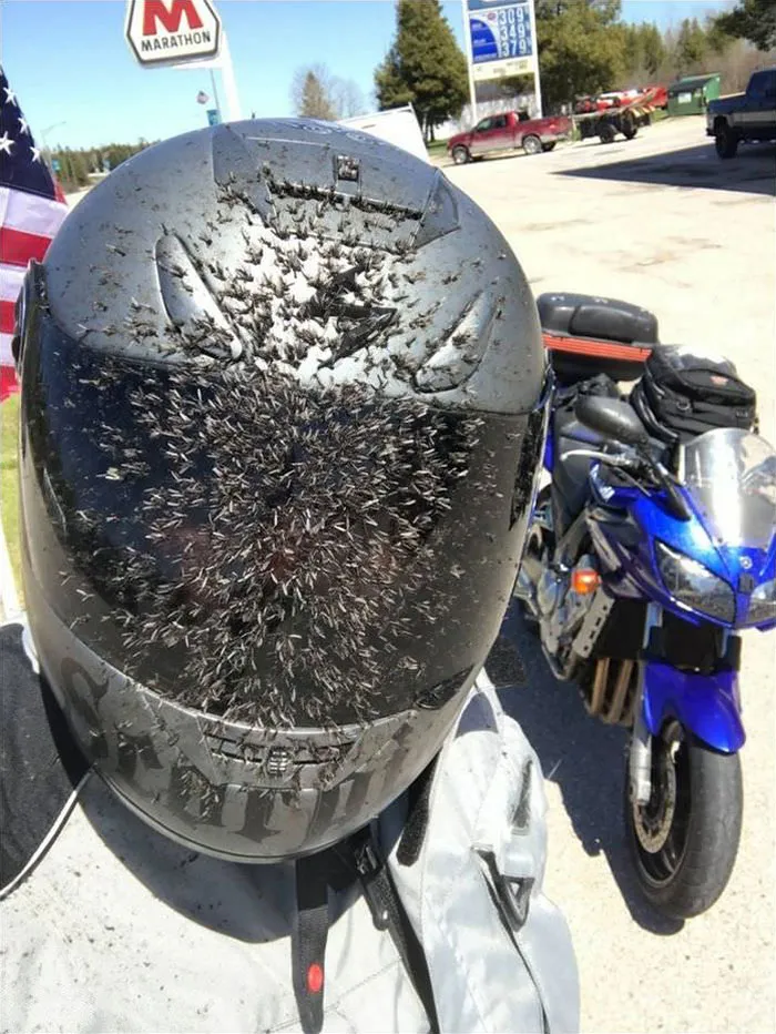 Another Reason To Wear A Helmet
