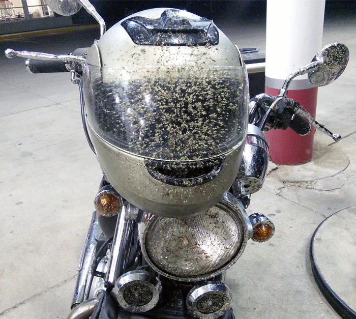 Can Anyone Tell Me Why Anything Other Than Full Face Helmets Are A Good Idea?