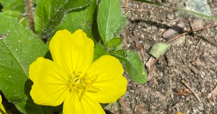 I Made A Small Collection Of My Nature Photography (18 Pics)