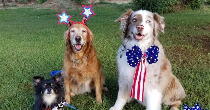 Hey Pandas, Post Your Best Kid Or Pet Independence Day Photos! (Closed)