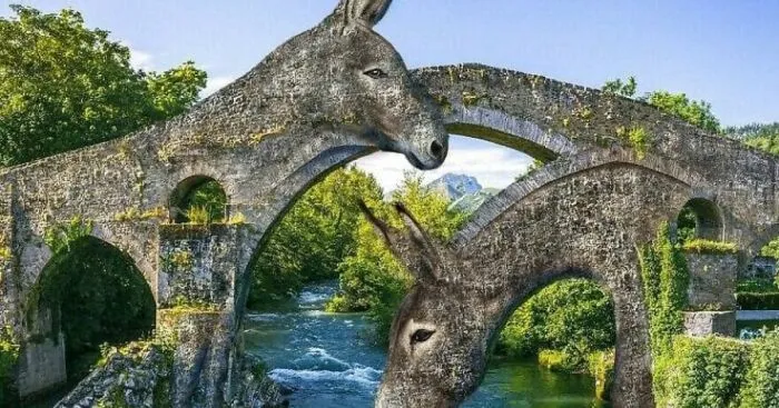 Animals Beyond Fairytale: I Make Bizarre Image Manipulations (21 Pics)
